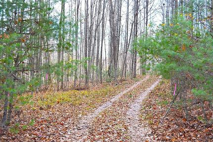 Recreational Property for sale in Summers County, West Virginia