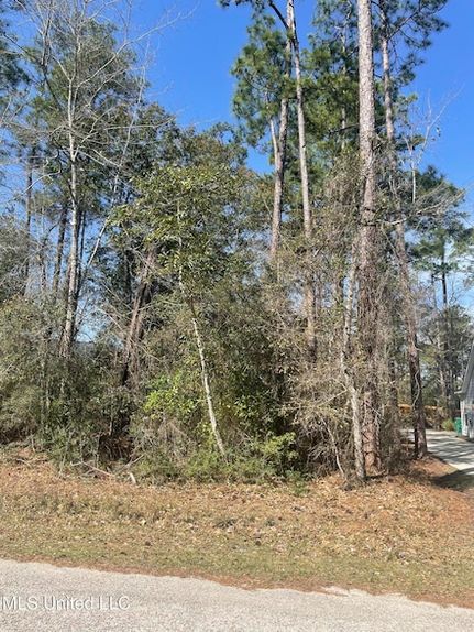 Recreational Property for sale in Hancock County, Mississippi