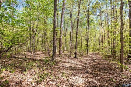 Property for sale in Lawrence County, Alabama