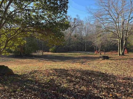 Undeveloped Land for sale in Spartanburg County, South Carolina
