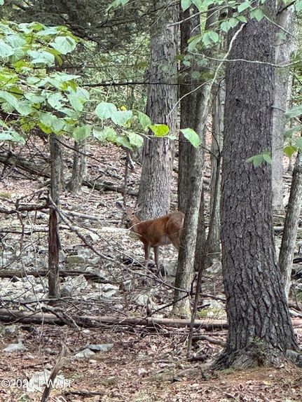 Ranch Property for sale in Pike County, Pennsylvania