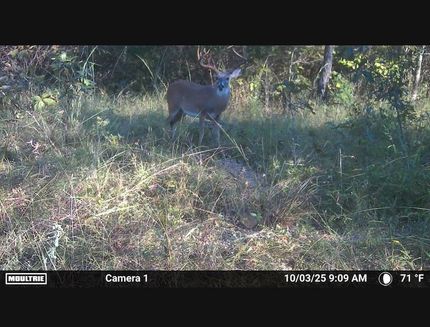 Property for sale in Pushmataha County, Oklahoma