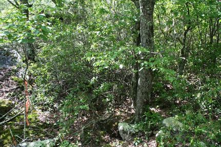 Property for sale in Highland County, Virginia