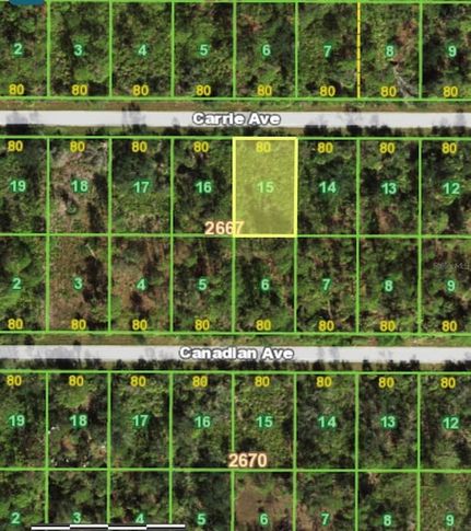Undeveloped Land for sale in Charlotte County, Florida