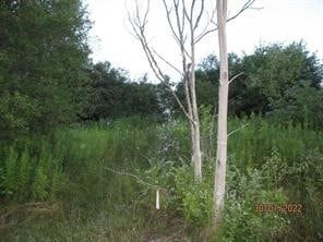 Property for sale in Chenango County, New York