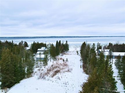 Undeveloped Land for sale in Cheboygan County, Michigan