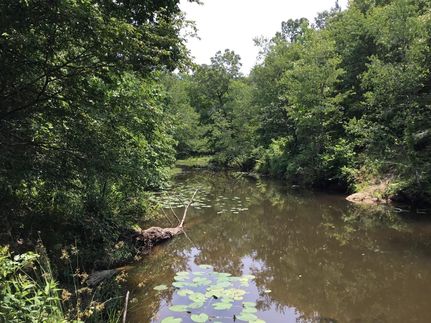 Property for sale in Pulaski County, Arkansas