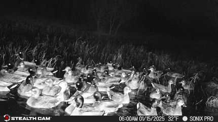 Farm Property for sale in McIntosh County, Oklahoma