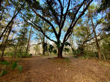 Waterfront Property for sale in Jefferson County, Florida