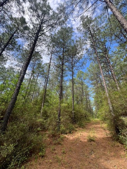 Property for sale in Jackson Parish, Louisiana