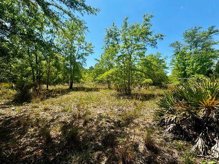 Timberland Property for sale in Jefferson County, Florida