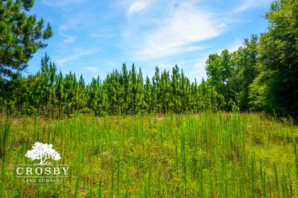 Property for sale in Wheeler County, Georgia