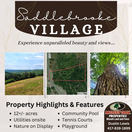 Property for sale in Christian County, Missouri