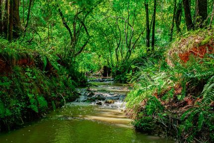 Farm Property for sale in Chester County, South Carolina