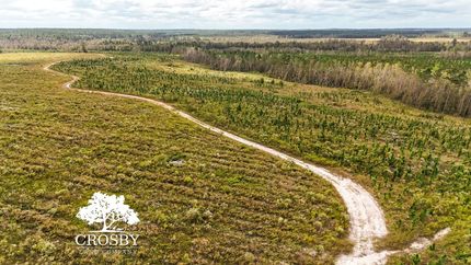 Undeveloped Land for sale in Wheeler County, Georgia