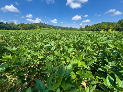 Property for sale in Scioto County, Ohio