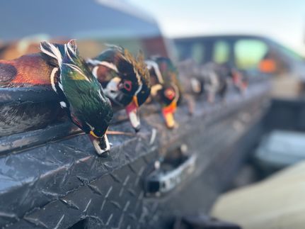 Recreational Property for sale in McIntosh County, Georgia