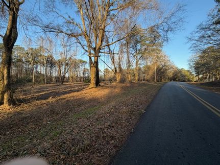 Property for sale in Butler County, Alabama