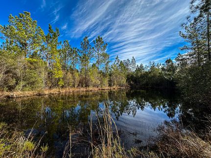 Hunting Land for sale in Jackson County, Mississippi