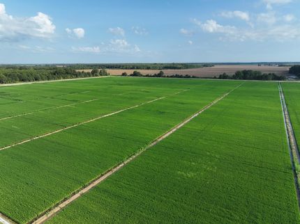 Farm Property for sale in Quitman County, Mississippi