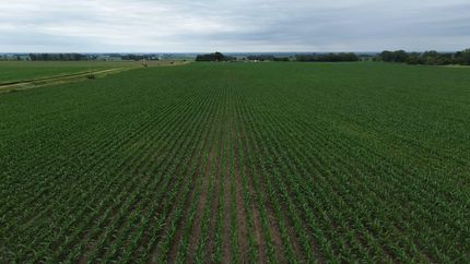 Property for sale in Clay County, South Dakota