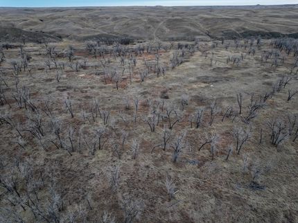 Undeveloped Land for sale in Jackson County, South Dakota