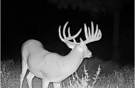 Farm Property for sale in Marion County, Illinois