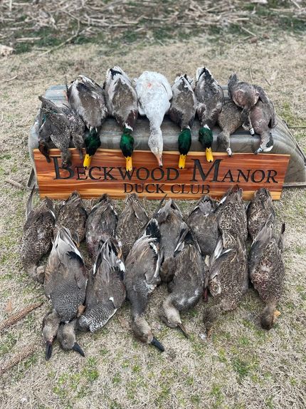 Property for sale in Arkansas County, Arkansas