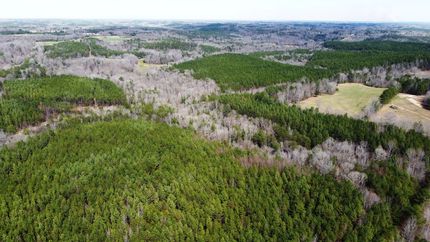 Property for sale in Winston County, Alabama