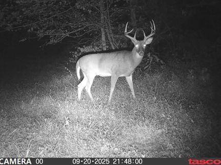 Ranch Property in Athens County, Ohio