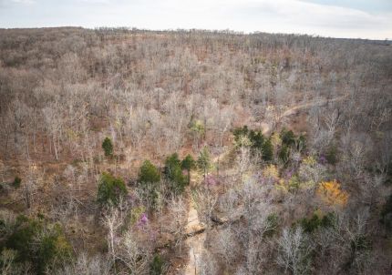 Property for sale in Iron County, Missouri