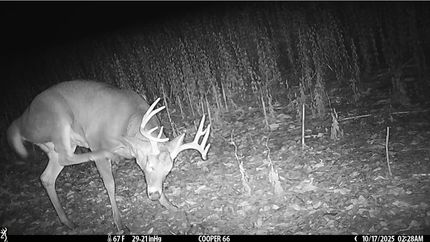 Property for sale in Cooper County, Missouri