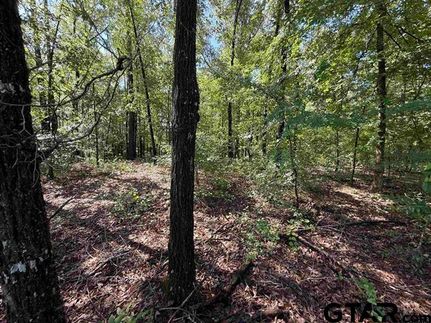 Farm Property for sale in Cherokee County, Texas