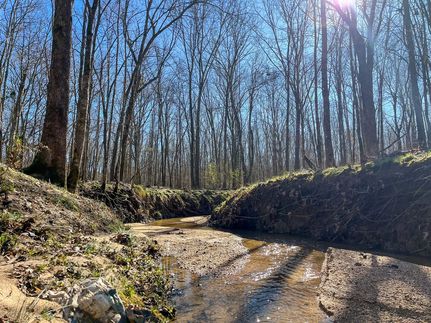 Farm Property for sale in Newton County, Mississippi