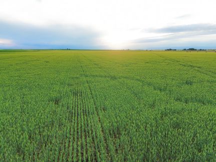 Property for sale in Harper County, Kansas