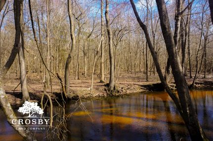 Waterfront Property for sale in Clarendon County, South Carolina
