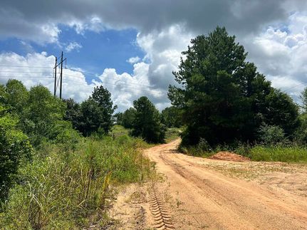 Undeveloped Land for sale in Wayne County, Mississippi