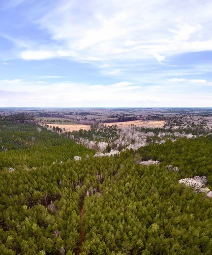 Farm Property for sale in Simpson County, Mississippi