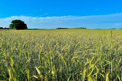 Property for sale in Pratt County, Kansas