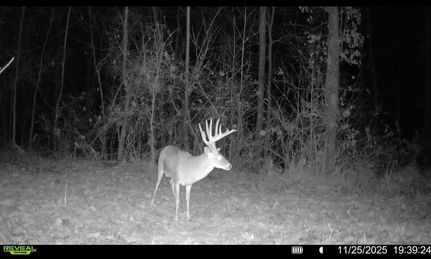 Timberland Property for sale in Lee County, Arkansas