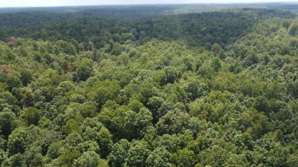 Property for sale in Marion County, Arkansas