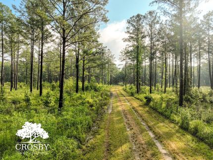 Property for sale in Hampton County, South Carolina