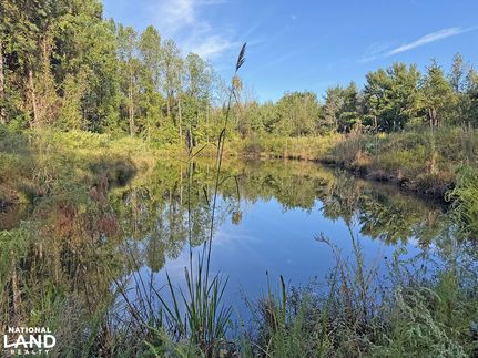 Hunting Land for sale in Robeson County, North Carolina