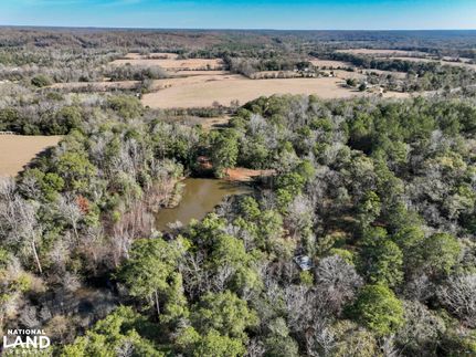 Property for sale in Dallas County, Alabama