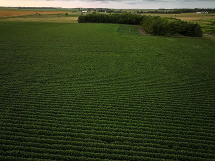 Property for sale in Douglas County, South Dakota