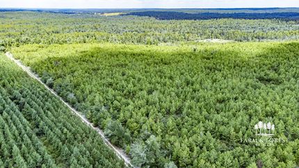 Hunting Land for sale in Jackson County, Florida