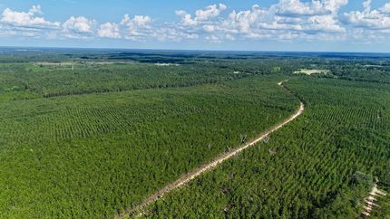 Property for sale in Appling County, Georgia