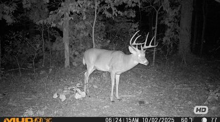 Recreational Property for sale in Camden County, Missouri