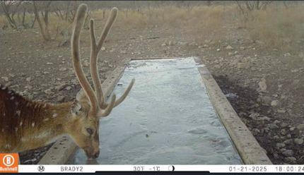 Ranch Property for sale in McCulloch County, Texas