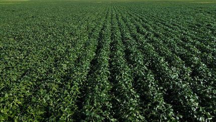 Property for sale in Marshall County, South Dakota